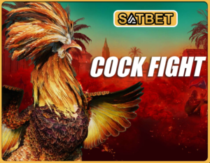 Cock fight