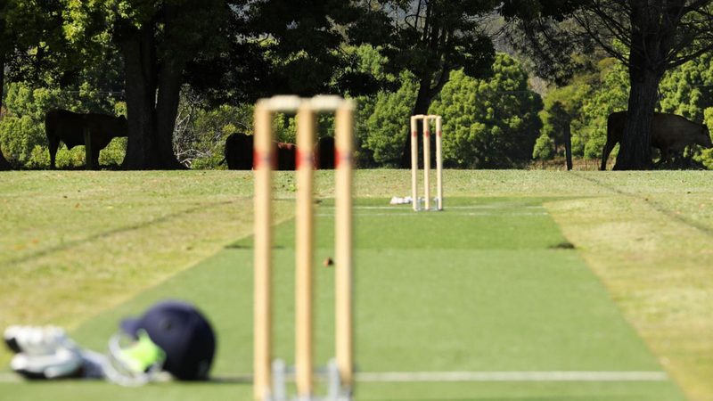 What is Suspended Meaning in Cricket